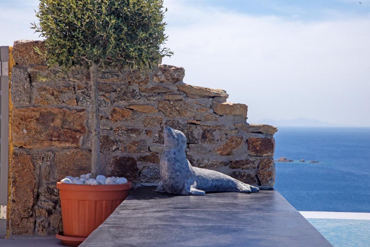 Vakantiehuis Infinity View Mykonos Kalo Livadi